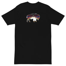 Load image into Gallery viewer, Buffalo Memorial Auditorium T-Shirt
