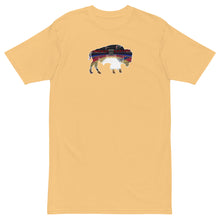 Load image into Gallery viewer, Buffalo Memorial Auditorium T-Shirt