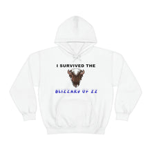 Load image into Gallery viewer, Buffalo Blizzard 2022 Hooded Sweatshirt