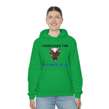 Load image into Gallery viewer, Buffalo Blizzard 2022 Hooded Sweatshirt