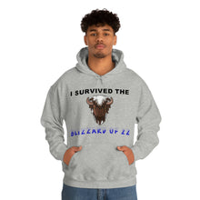 Load image into Gallery viewer, Buffalo Blizzard 2022 Hooded Sweatshirt