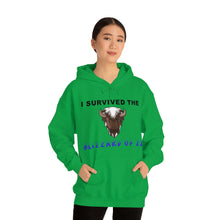 Load image into Gallery viewer, Buffalo Blizzard 2022 Hooded Sweatshirt