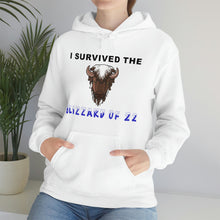 Load image into Gallery viewer, Buffalo Blizzard 2022 Hooded Sweatshirt