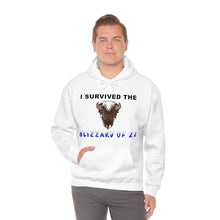 Load image into Gallery viewer, Buffalo Blizzard 2022 Hooded Sweatshirt
