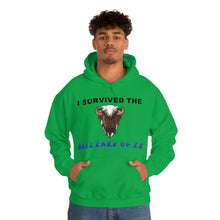 Load image into Gallery viewer, Buffalo Blizzard 2022 Hooded Sweatshirt