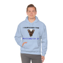 Load image into Gallery viewer, Buffalo Blizzard 2022 Hooded Sweatshirt