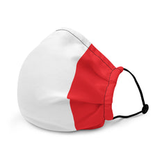 Load image into Gallery viewer, Italia Face Mask