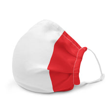 Load image into Gallery viewer, Italia Face Mask
