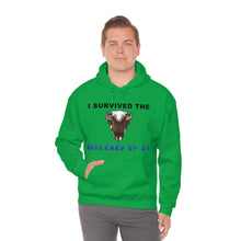 Load image into Gallery viewer, Buffalo Blizzard 2022 Hooded Sweatshirt