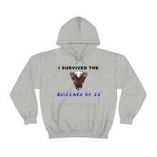 Load image into Gallery viewer, Buffalo Blizzard 2022 Hooded Sweatshirt