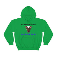 Load image into Gallery viewer, Buffalo Blizzard 2022 Hooded Sweatshirt