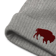 Load image into Gallery viewer, Buffalo 716 Recycled Cuffed Beanie
