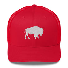 将图片加载到图库查看器,水牛卡车司机帽