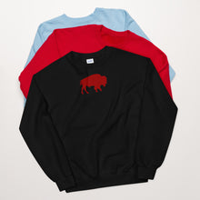 Load image into Gallery viewer, Buffalo NY Unisex Sweatshirt