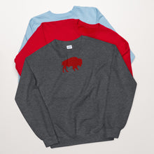 Load image into Gallery viewer, Buffalo NY Unisex Sweatshirt
