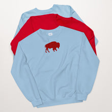 Load image into Gallery viewer, Buffalo NY Unisex Sweatshirt