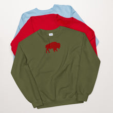 Load image into Gallery viewer, Buffalo NY Unisex Sweatshirt