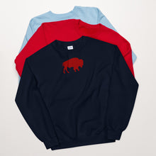 Load image into Gallery viewer, Buffalo NY Unisex Sweatshirt