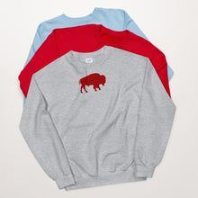 Load image into Gallery viewer, Buffalo NY Unisex Sweatshirt