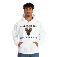 Load image into Gallery viewer, Buffalo Blizzard 2022 Hooded Sweatshirt
