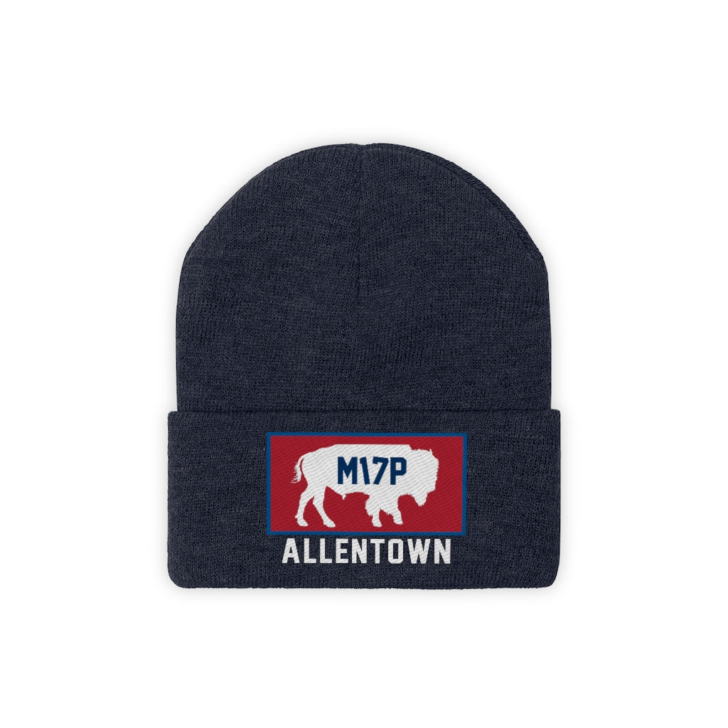 Allentown Knit Hat