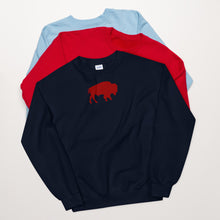 Load image into Gallery viewer, Buffalo NY Unisex Sweatshirt

